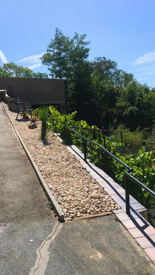 Schlossberg & Garten In Der & Unweit Vom 