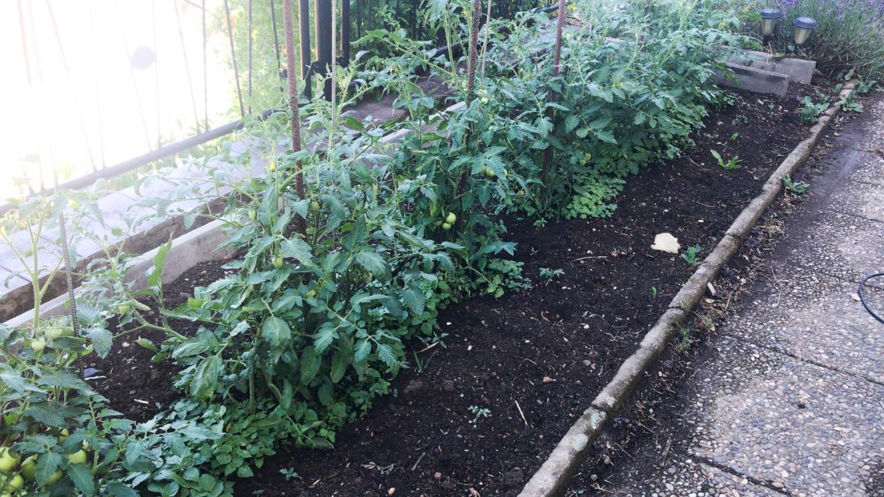 Schlossberg & Garten In Der & Unweit Vom 