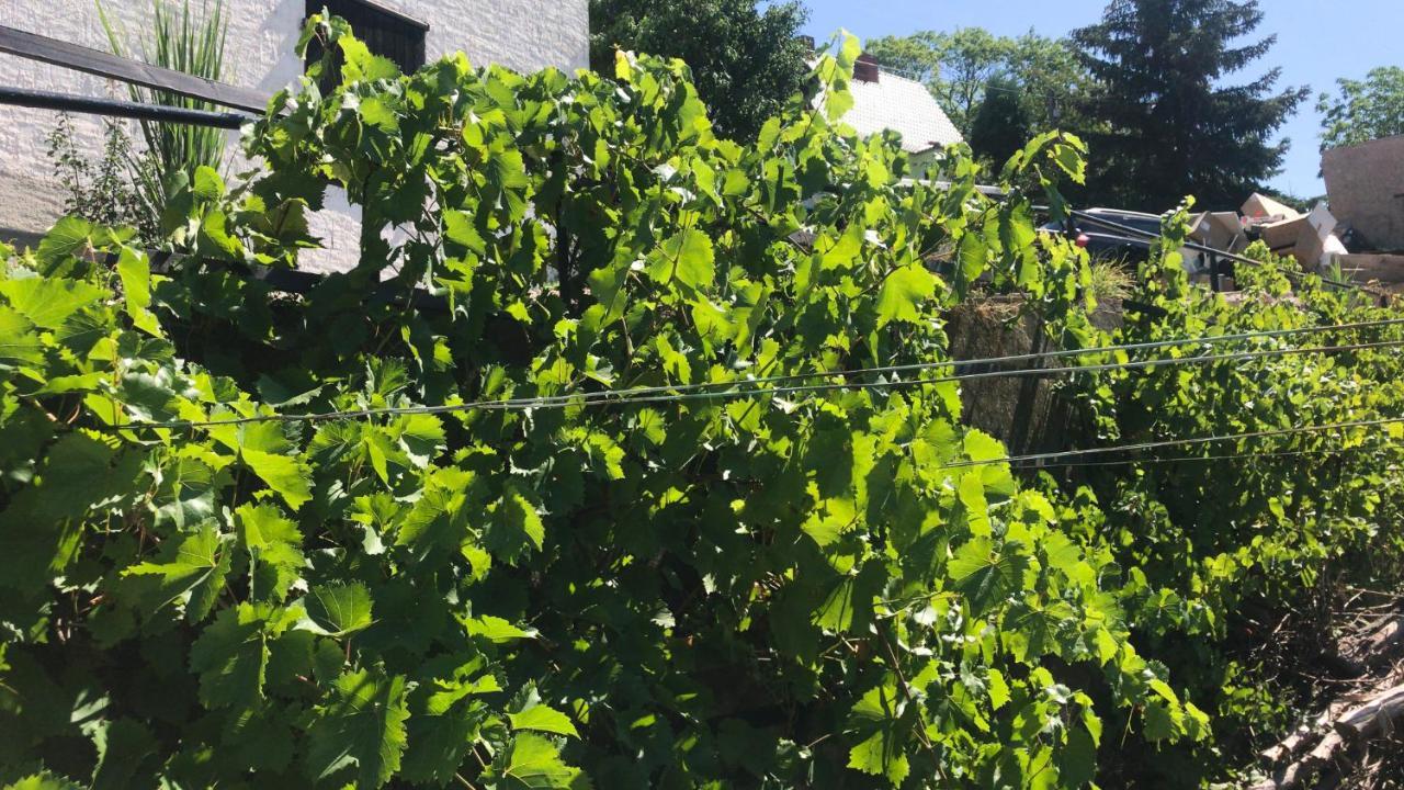 Schlossberg & Garten In Der & Unweit Vom 